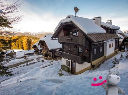 Orchid Casel de Paradise.