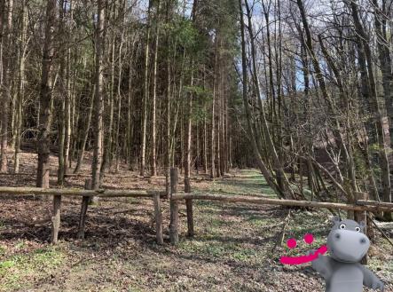 Prodej pozemku, les, 6 656 m²