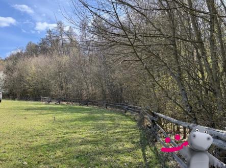 Prodej pozemku, les, 3 109 m²