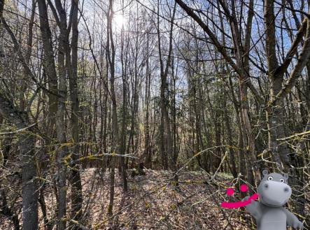 Prodej pozemku, les, 3 109 m²