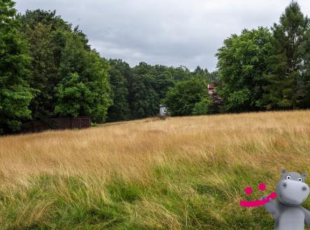 Prodej pozemku pro bydlení, 13 938 m²