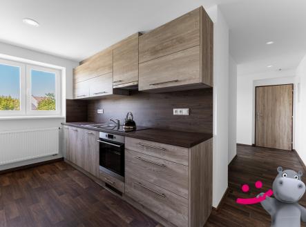 Pronájem bytu, 1+1, 47 m²