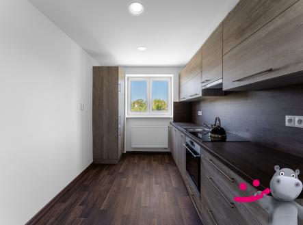 Pronájem bytu, 1+1, 47 m²