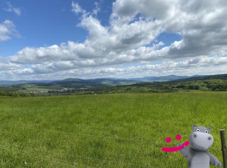 Prodej pozemku, trvalý travní porost, 5 517 m²