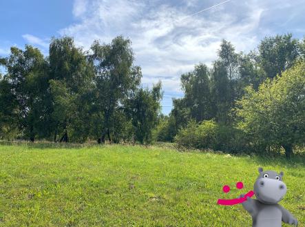 Prodej pozemku, trvalý travní porost, 5 517 m²