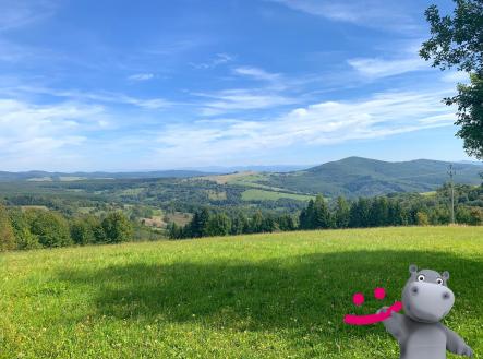 Prodej pozemku, trvalý travní porost, 5 517 m²