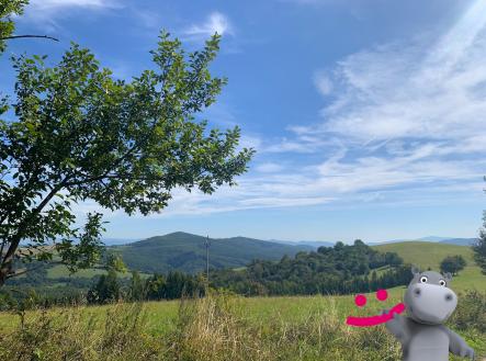 Prodej pozemku, trvalý travní porost, 5 517 m²