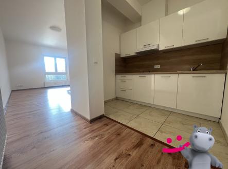 Pronájem bytu, 1+kk, 33 m²