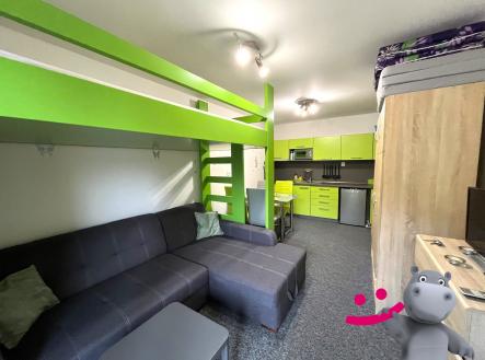 Prodej bytu, 1+kk, 23 m²