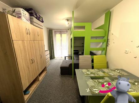 Prodej bytu, 1+kk, 23 m²