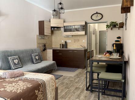 Prodej bytu, 1+kk, 56 m²