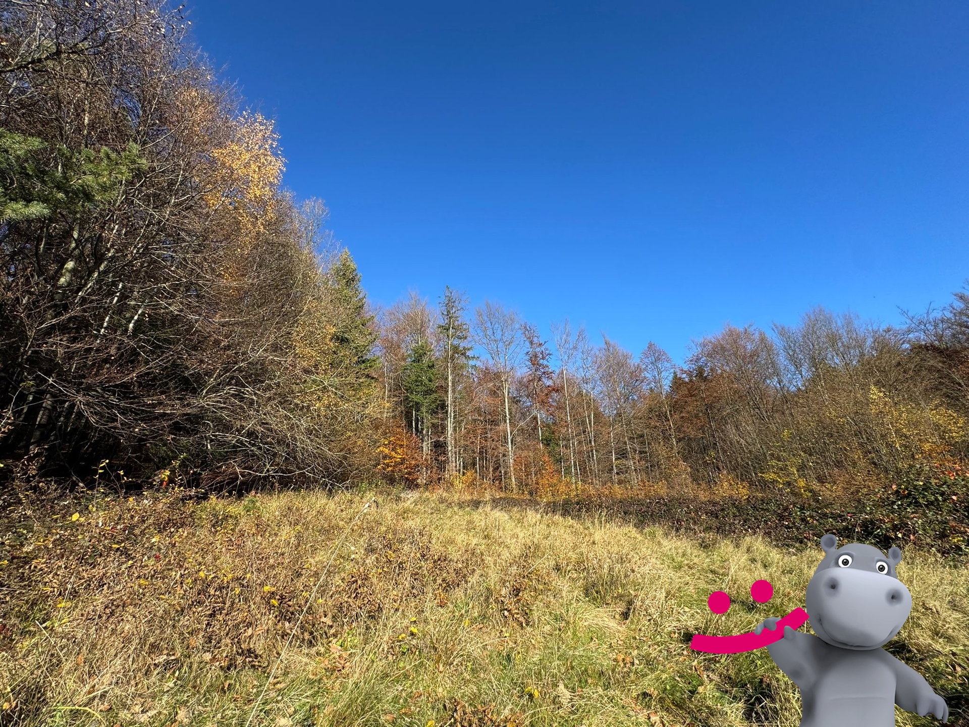 f4118a83-677d-43fb-b33c-be149b0512a0