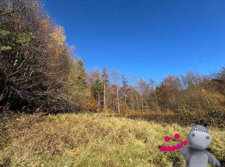 Prodej pozemku, trvalý travní porost, 4 837 m²