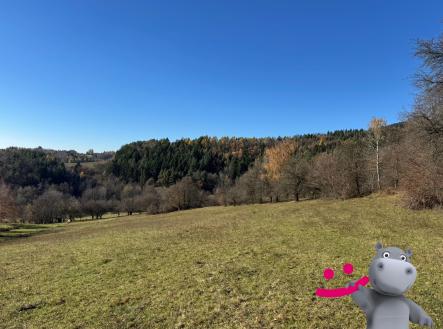 Prodej pozemku, trvalý travní porost, 4 837 m²