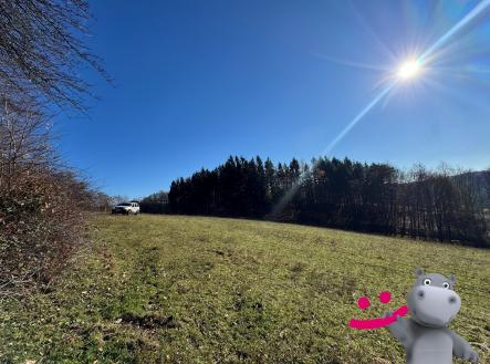 Prodej pozemku, trvalý travní porost, 4 837 m²