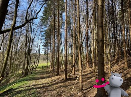 Prodej pozemku, les, 40 558 m²