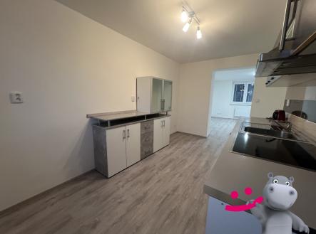 Pronájem bytu, 2+1, 55 m²