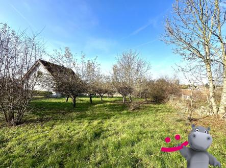 Prodej pozemku pro bydlení, 1 519 m²