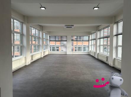 Pronájem kanceláře, 171 m²