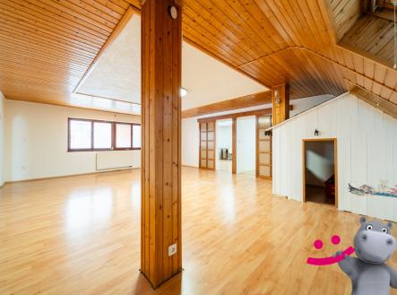 Prodej bytu, 3+1, 189 m²