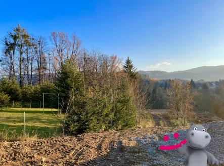 Prodej pozemku pro bydlení, 1 646 m²