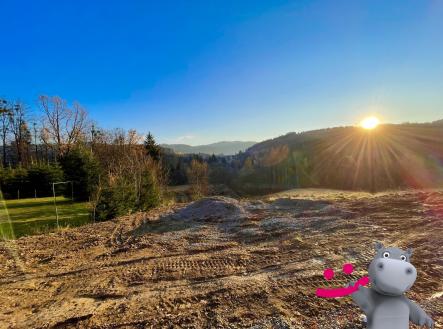 Prodej pozemku pro bydlení, 1 646 m²