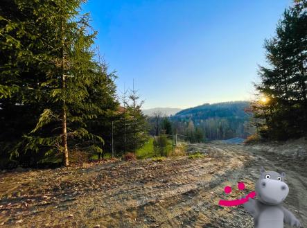 Prodej pozemku pro bydlení, 1 646 m²