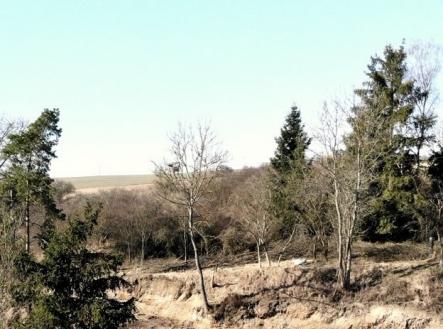 Prodej pozemku pro bydlení, 600 m²