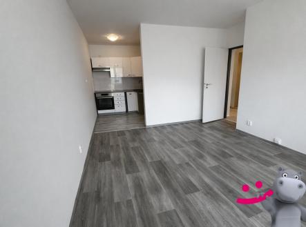 Pronájem bytu, 2+kk, 43 m²