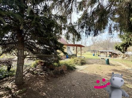 Pronájem chaty/rekreačního objektu, 50 m²