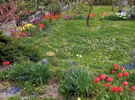 Prodej chaty/rekreačního objektu, 13 m²