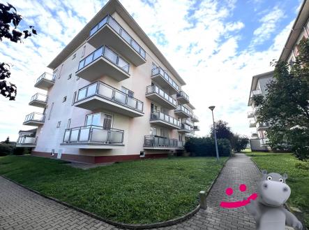 Pronájem bytu, 1+kk, 31 m²