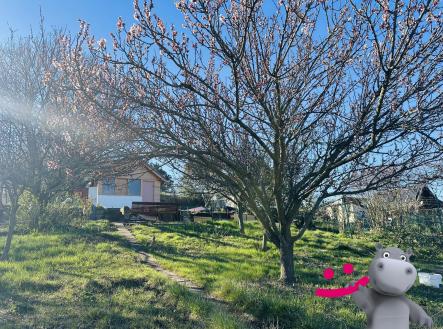 Prodej chaty/rekreačního objektu, 14 m²