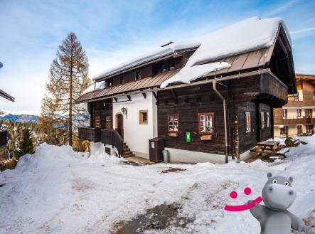 Orchid Casel de Paradise.