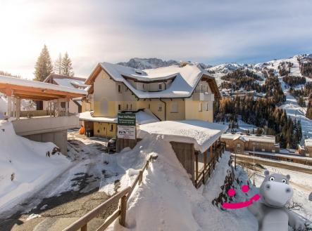 Orchid Casel de Paradise.