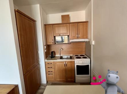 Pronájem bytu, 1+kk, 33 m²