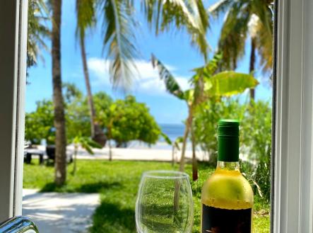 Orchid Casel de Paradise.