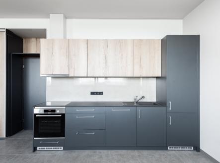 Pronájem bytu, 1+kk, 49 m²