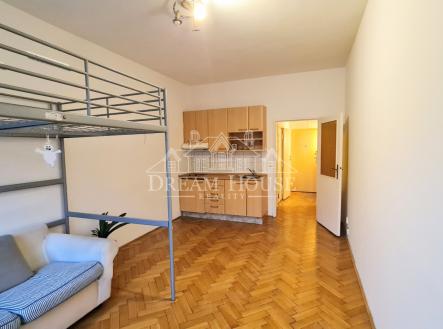 Pronájem bytu, 1+kk, 30 m² obrázek