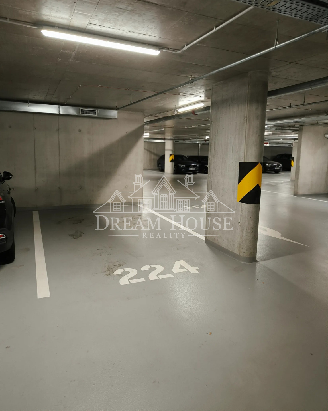 Fotku se nepodařilo načíst.