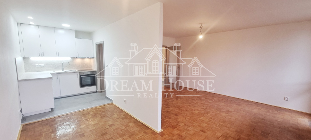 Pronájem bytu 1+kk/L, 49 m2, Praha 3 - Žižkov, po rekonstrukci, nezařízený, sklepní kóje