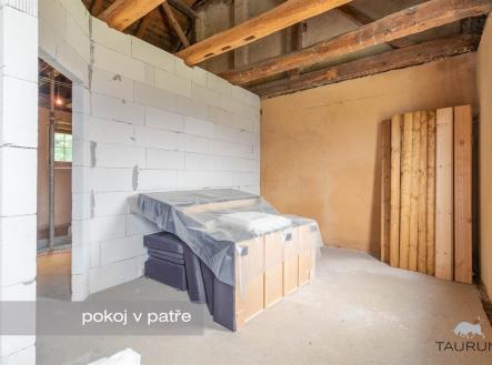 Prodej domu/vily, 365 m²