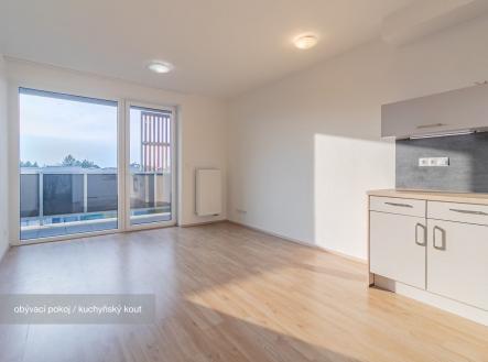 Pronájem bytu, 2+kk, 55 m²