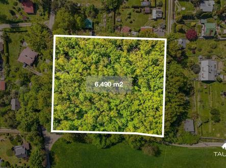 Prodej pozemku, les, 6 490 m²