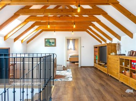 Prodej domu/vily, 730 m²