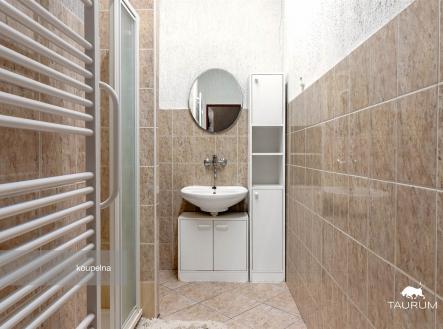 Prodej domu/vily, 290 m²