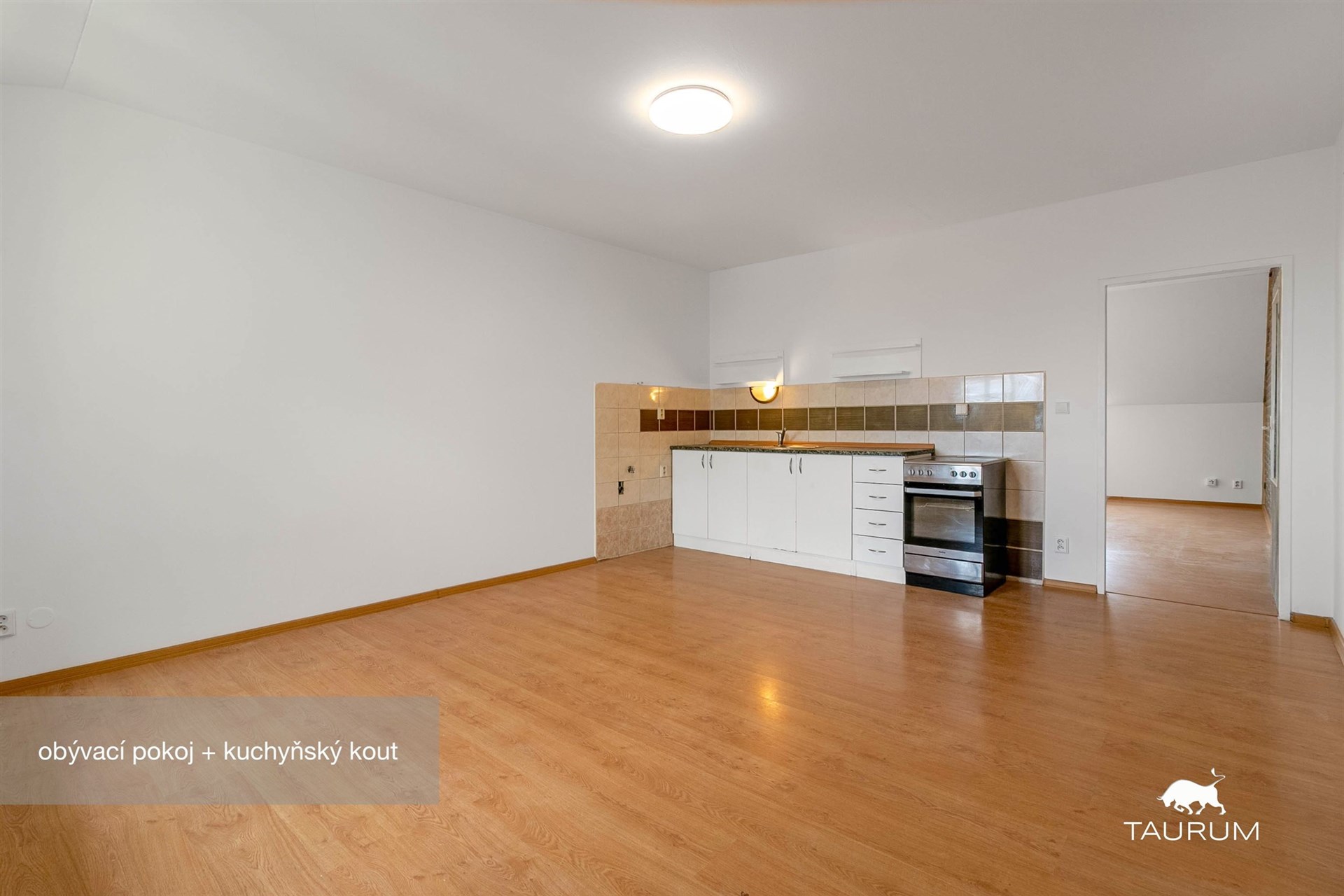 Světlý obývací pokoj s kuchyňským koutem, laminátová podlaha, moderní design, vestavěné spotřebiče, prostorný a otevřený interiér