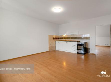 Prodej bytu, 1+1, 51 m²