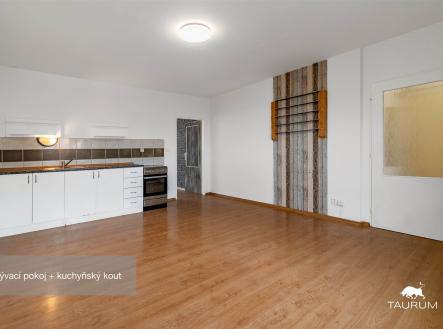 Prodej bytu, 1+1, 51 m²