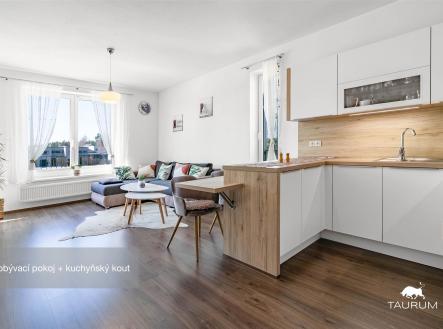 Prodej bytu, 2+kk, 56 m²